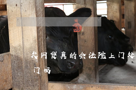 欠网贷真的会法院上门处理吗(拖欠网贷会上门吗)