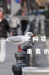 欠网贷离家出走家人要负责还吗(欠钱离家出走真的好吗)