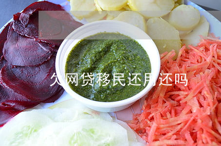 欠网贷移民还用还吗
