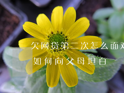 欠网贷第二次怎么面对父母-第二次欠网贷如何向父母坦白