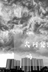欠网贷经侦会抓人吗(网贷会由经侦大队侦查吗)