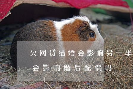欠网贷结婚会影响另一半吗(结婚前欠的网贷会影响婚后配偶吗?)