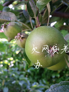 欠网贷老公没骂我(欠了网贷老公不帮我怎么办)