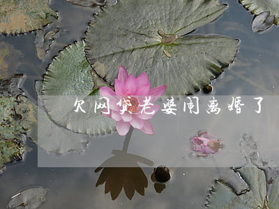 欠网贷老婆闹离婚了