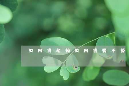 欠网贷 老赖(欠网贷算不算老赖)