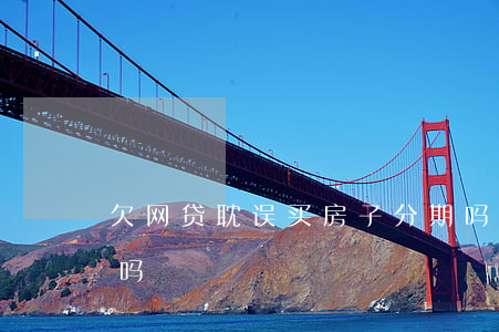 欠网贷耽误买房子分期吗(有网贷耽误买房子吗)