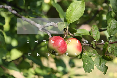 欠网贷能不能主动联系客服协商-网贷逾期可以找客服协商吗