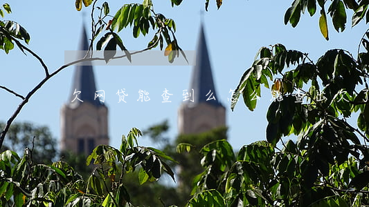 欠网贷能查到么(怎么能查出欠了多少网贷)