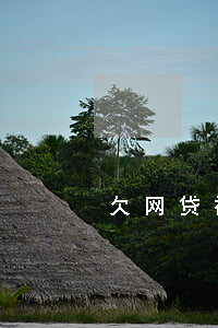 欠网贷被人打了(欠网贷会被打吗)
