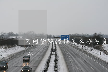 欠网贷被催债怎么办(网贷逾期被催债了怎么办)