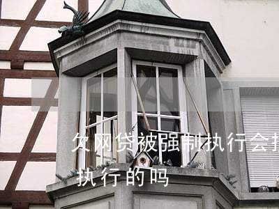 欠网贷被强制执行会搜家吗(有欠网贷被强制执行的吗)