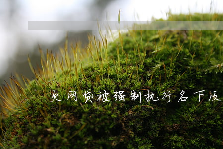 欠网贷被强制执行名下没有财产-