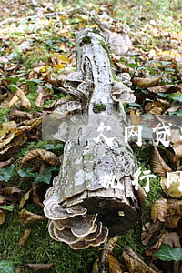 欠网贷被执行网上为什么查不到-欠网贷被执行网上为什么查不到记录