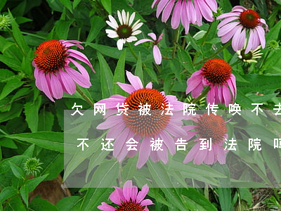 欠网贷被法院传唤不去会怎么样(如果欠网贷不还会被告到法院吗)
