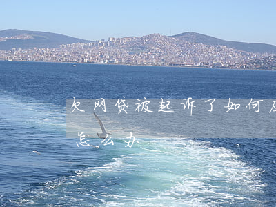 欠网贷被起诉了如何应诉(欠款网贷被起诉了怎么办)