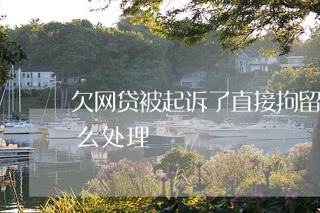 欠网贷被起诉了直接拘留(欠网贷被起诉了,怎么处理)