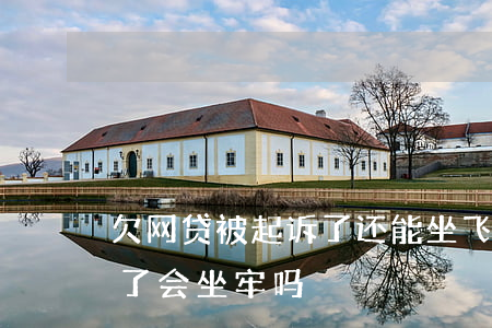欠网贷被起诉了还能坐飞机吗(欠网贷被起诉了会坐牢吗)