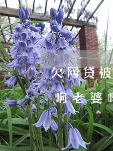 欠网贷被起诉会影响老婆吗(自己欠网贷会影响老婆吗)