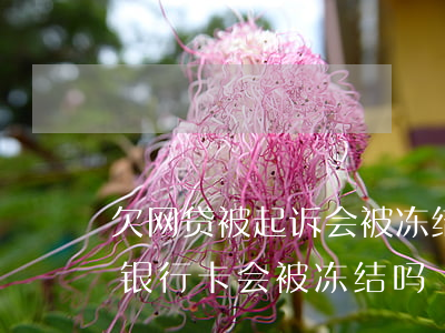 欠网贷被起诉会被冻结银行卡吗(欠网贷所有银行卡会被冻结吗)