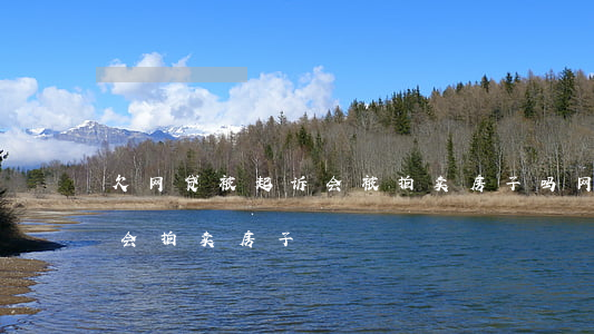 欠网贷被起诉会被拍卖房子吗(网贷不还会不会拍卖房子)