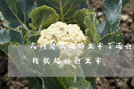 欠网贷被起诉坐牢了还会还钱吗(欠网贷多少钱被起诉会坐牢)