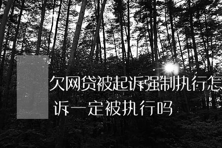 欠网贷被起诉强制执行怎么办(网贷欠款被起诉一定被执行吗)