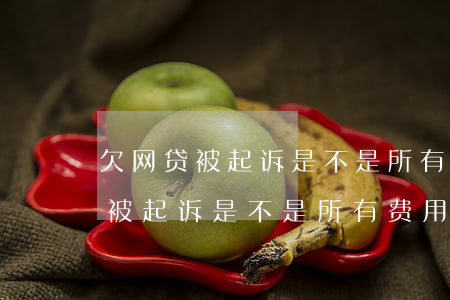 欠网贷被起诉是不是所有费用都要-欠网贷被起诉是不是所有费用都要交