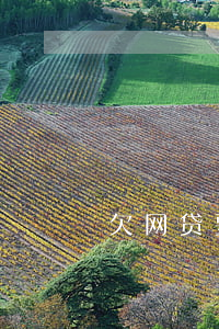 欠网贷要坐牢坐多久(欠网贷会坐牢)