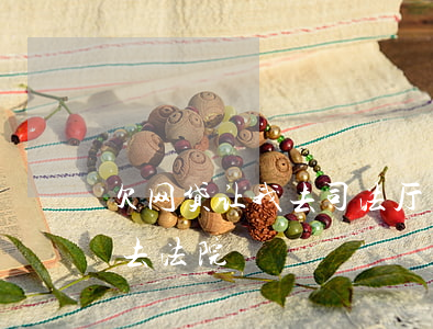 欠网贷让我去司法厅(欠了网贷一千多,说要我去法院)