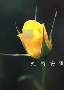 欠网贷说有外访人员上门真的吗-