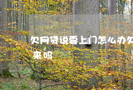 欠网贷说要上门怎么办(欠网贷不还会找上门来吗)
