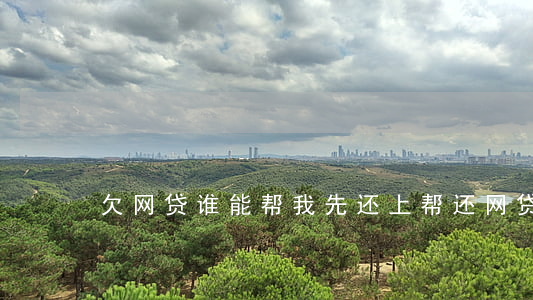 欠网贷谁能帮我先还上(帮还网贷的老板)