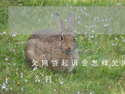 欠网贷起诉会怎样(欠网贷被起诉了一般会怎么判)