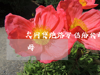 欠网贷跑路写信给父母(欠网贷跑路写信给父母)