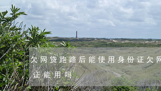 欠网贷跑路后能使用身份证(欠网贷跑路身份证能用吗)