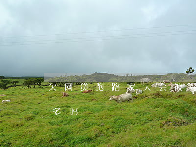 欠网贷跑路家人会被骚扰吗(欠网贷跑路的人多吗)