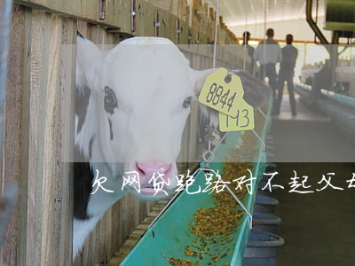 欠网贷跑路对不起父母(父母欠债跑路)