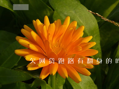 欠网贷跑路有翻身的吗(网贷 跑路) 欠网贷跑路有翻身的吗(网贷 跑路)