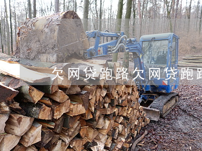 欠网贷 跑路(欠网贷跑路的人多吗)