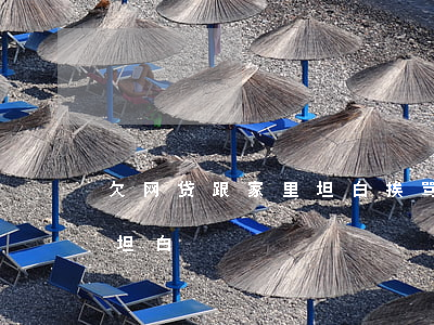 欠网贷跟家里坦白挨骂(网贷欠款十万跟家里坦白)