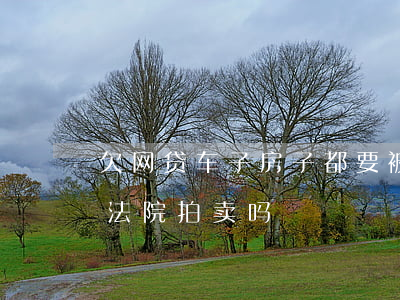 欠网贷车子房子都要被拍卖(欠钱贷款车会被法院拍卖吗)