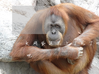 欠网贷还不上了死了吧(欠网贷还不上了死了吧)