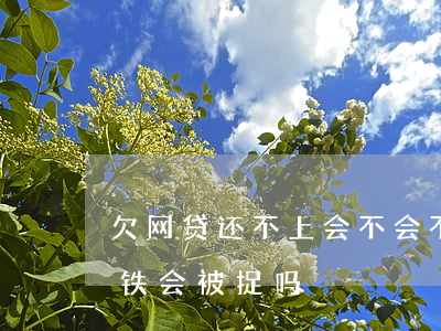欠网贷还不上会不会不能坐高铁(欠网贷坐高铁会被捉吗)