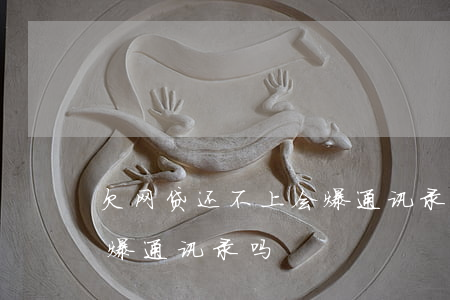 欠网贷还不上会爆通讯录吗(欠网贷还不上会爆通讯录吗?)