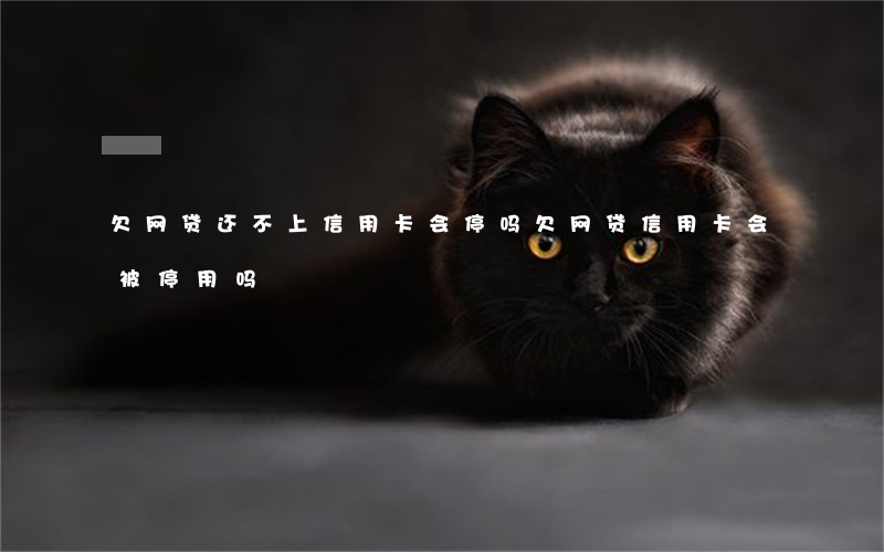 欠网贷还不上信用卡会停吗(欠网贷信用卡会被停用吗)