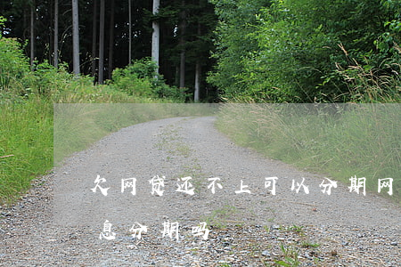欠网贷还不上可以分期(网贷还不上能申请停息分期吗)