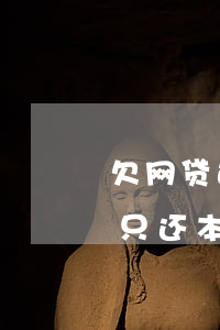 欠网贷还不上可以只用本金吗(欠网贷能不能只还本金)