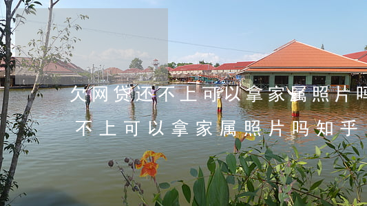 欠网贷还不上可以拿家属照片吗-欠网贷还不上可以拿家属照片吗知乎