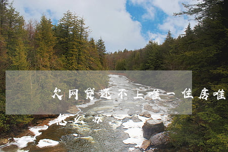欠网贷还不上唯一住房(唯一住房房贷还不上怎么办)