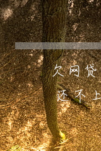欠网贷还不上怎么办会有哪些后果-欠网贷还不上怎么办会有哪些后果百度贴吧